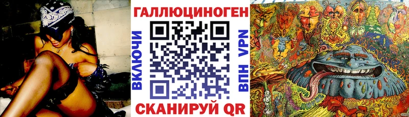 закладка Кимовск Псилоцибиновые грибы Psilocybe