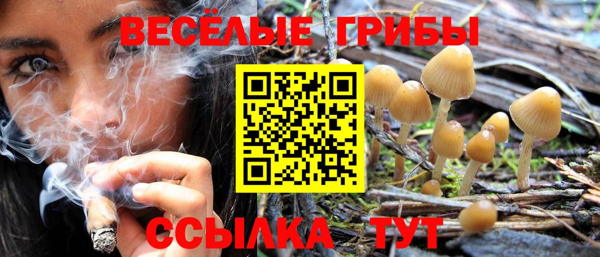 Псилоцибиновые грибы MAGIC MUSHROOMS  Галлюциногенные грибы прущие грибы  Кимовск  Вход с VPN 